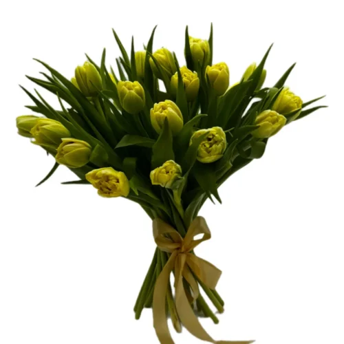 Букет №395 (25 тюльпанов)